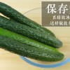 黄瓜可以放多久(06/30更新)