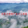 农民分田到户是什么时候