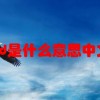 reward是什么意思中文翻译
