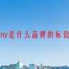 ny是什么品牌的标致(07/01更新)