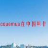 jacquemus在中国叫什么(06/29更新)